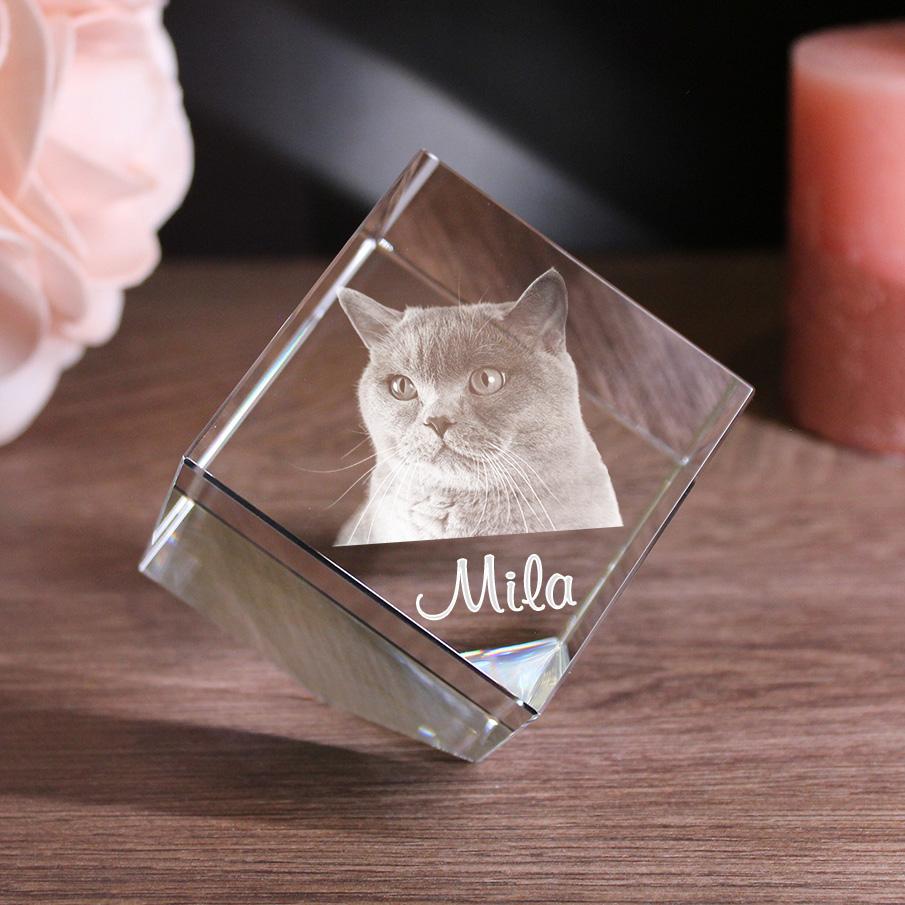 Petmemoria 2D/3D Glaskristall Würfel Corner-Cut