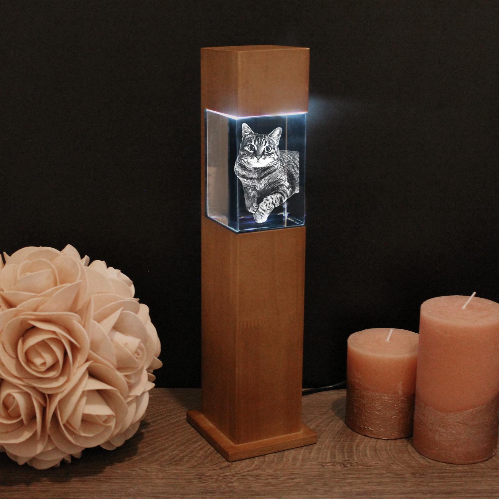 Petmemoria 2D/3D Leuchtstele mit Deinem Tierfoto