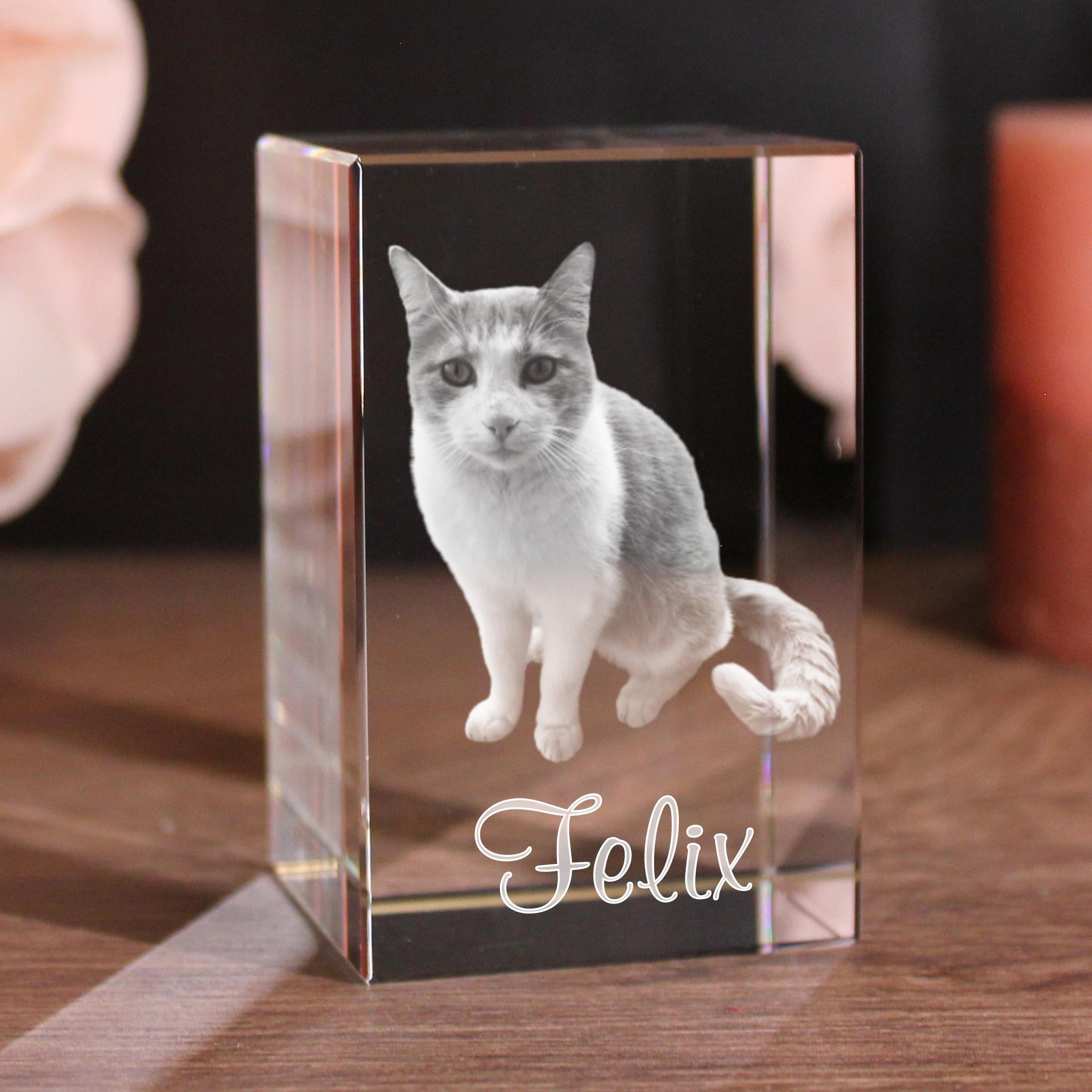 Petmemoria 2D/3D Glaskristall Quader